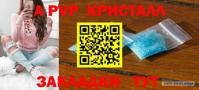 метадон Донской