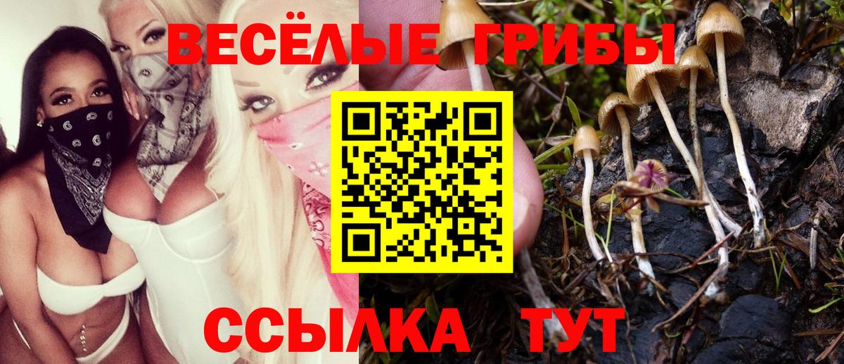 Мурманск  Псилоцибиновые грибы Magic Shrooms  Вход с VPN 