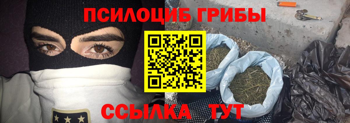 Галлюциногенные грибы мицелий Мурманск